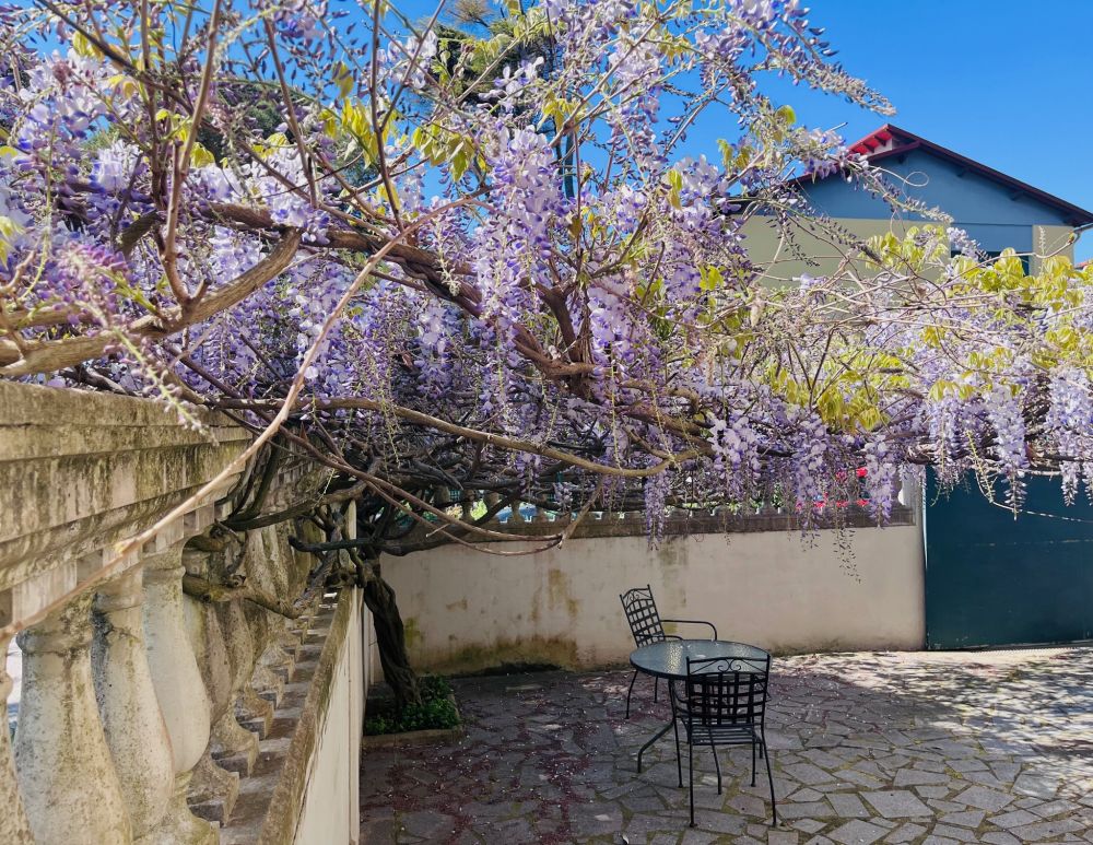 Appartamento in Villa con giardino privato in vendita a Quercianella in Livorno poco distante dal mare