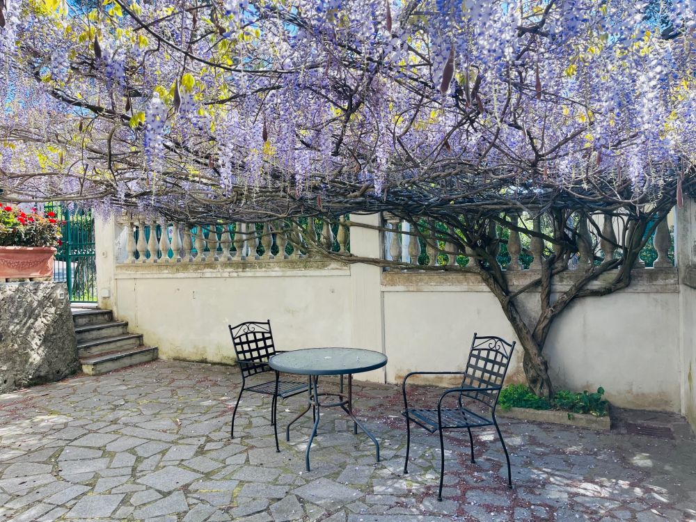 Appartamento in Villa con giardino privato in vendita a Quercianella in Livorno poco distante dal mare