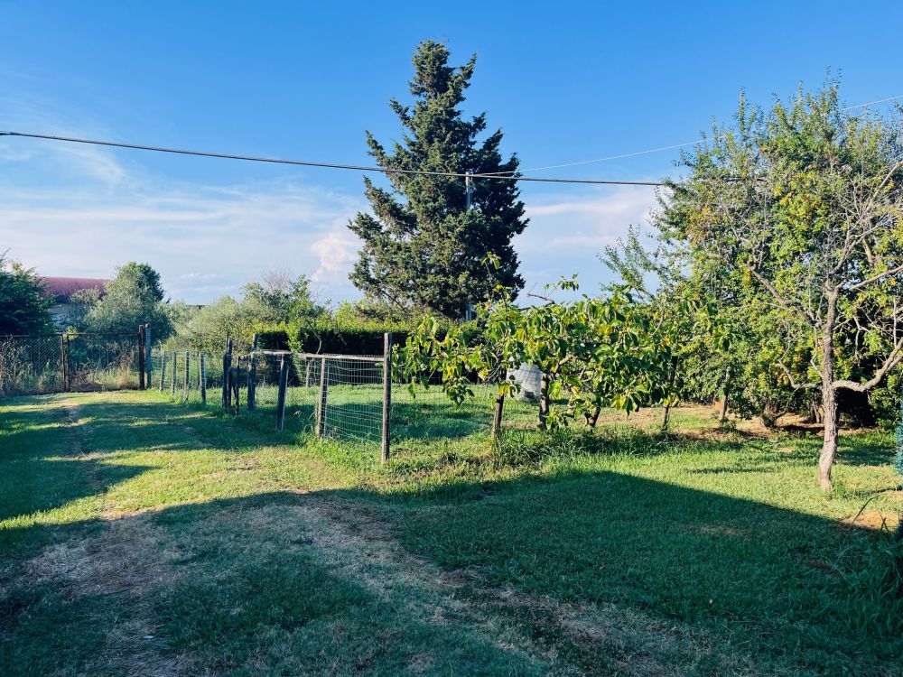 Villetta Bifamiliare in vendita a Collesalvetti Livorno con giardino e terreno e garage