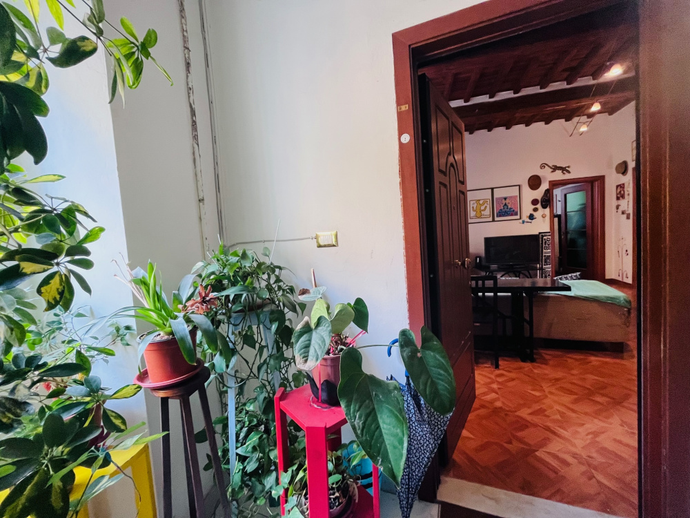 appartamento quadrilocale in zona Borgo cappuccini a pochi passi dal mare vendesi a Livorno